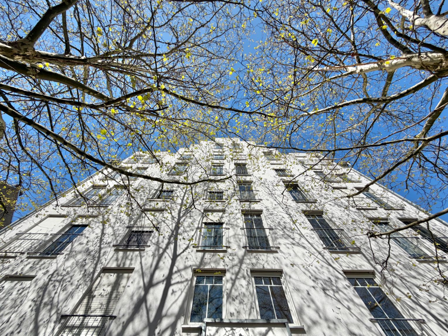 mit Balkon • Einbauküche • neu saniert • zur Miete • 2 Zimmer • in Chemnitz • nähe zur Universität!