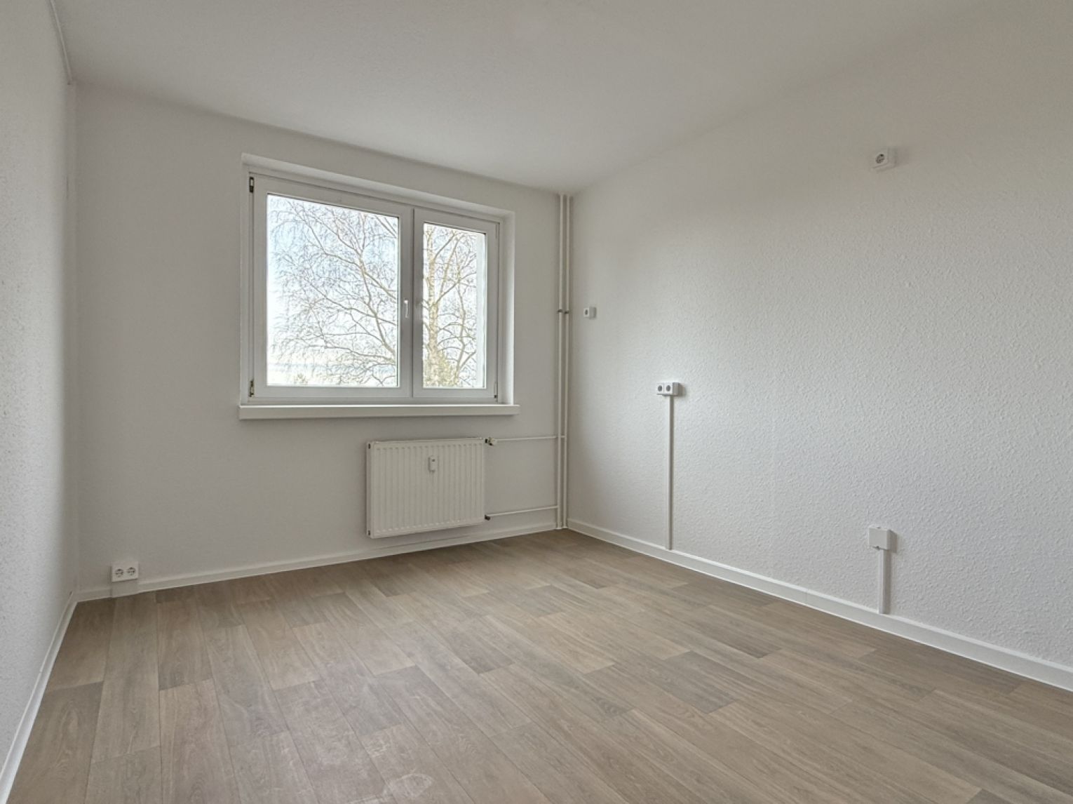 TOP • 2-Zimmer Wohnung • in Kappel • Balkon • Laminat • Komplett saniert • jetzt mieten !?