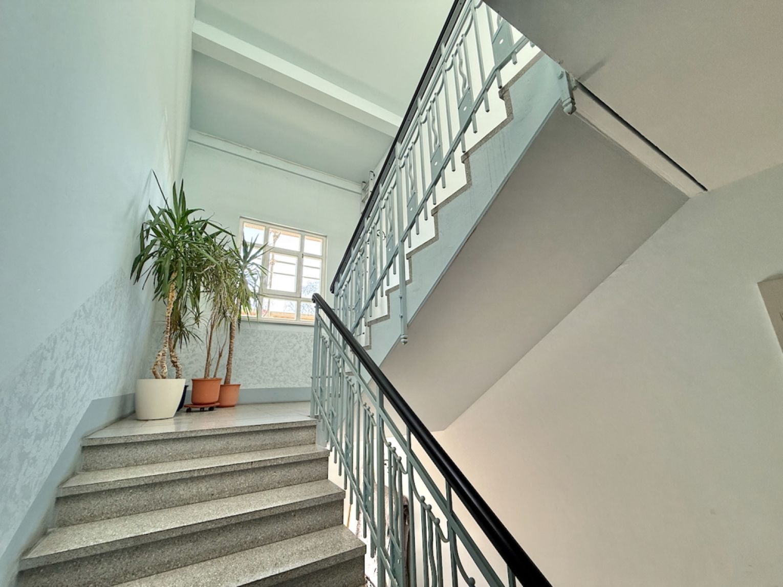 3 Zimmer • auf dem Kaßberg • im Erdgeschoss • zur Eigennutzung • mit Balkon • in Chemnitz • kaufen!