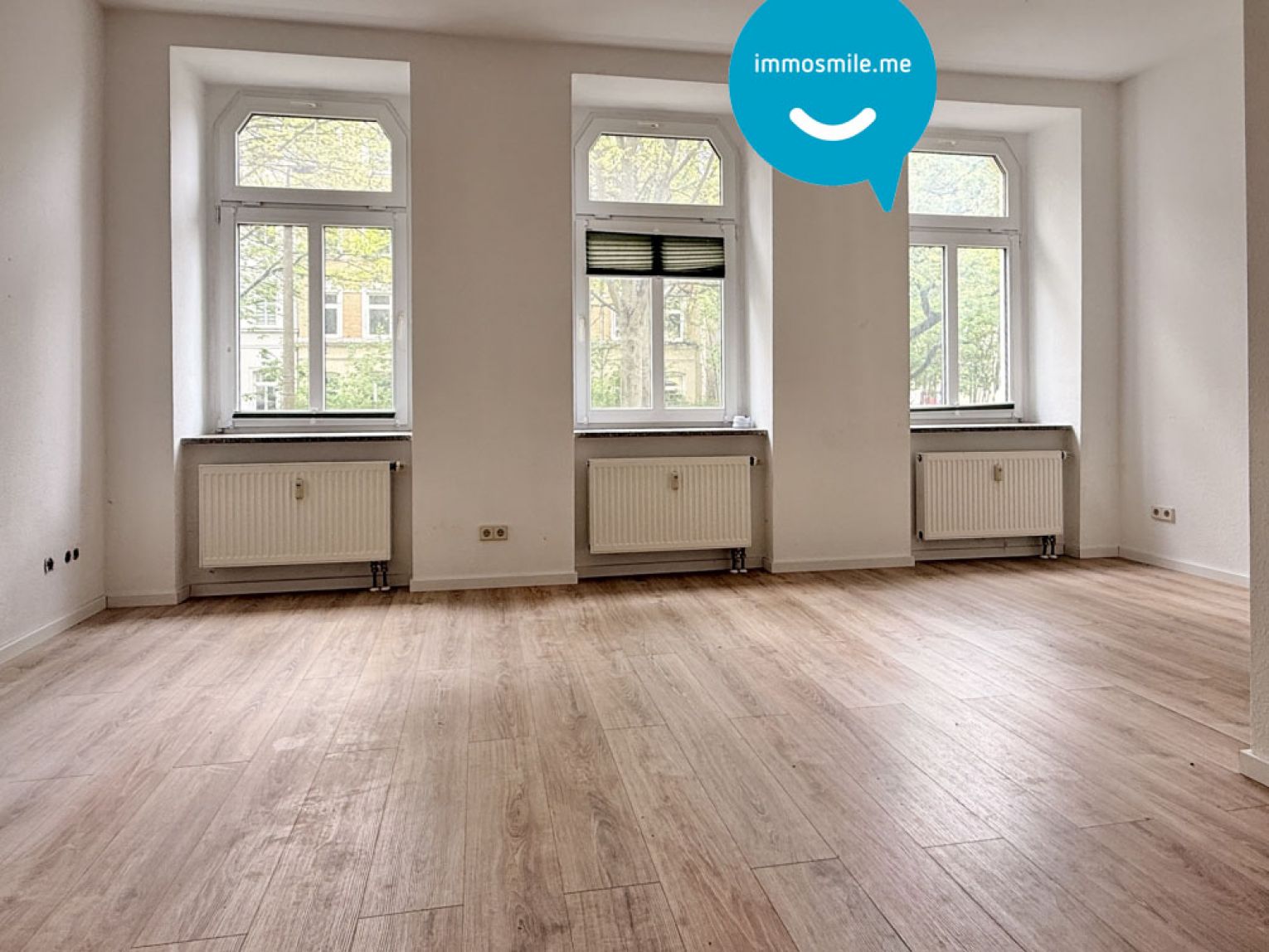 Kaßberg • 2 Raum Hochparterre • Wanne • Balkon • schickes Laminat • Wohnküche • TOP!