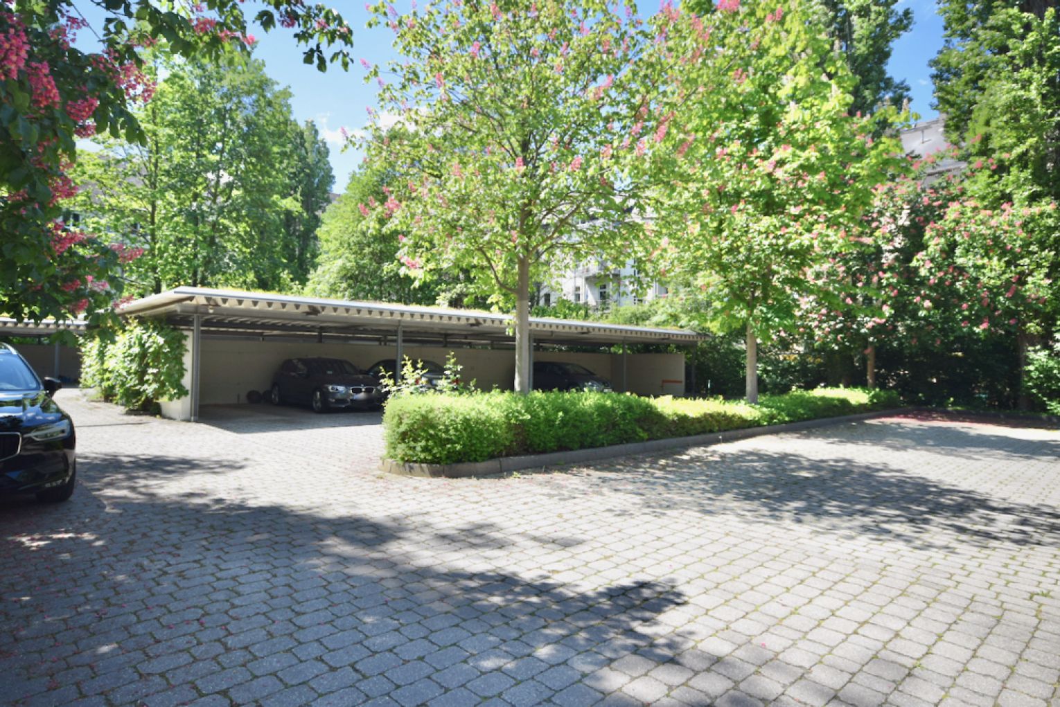 1-Raum Apartment • Laminat • Tageslichtbad mit Dusche • Stellplatz • Kaßberg • Anschauen & Mieten