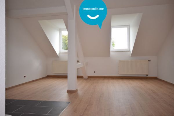 Dachgeschoss • Kaßberg • 2 Raum Apartment • Bad mit Dusche • neues Laminat • Einbauküche • Kaßberg