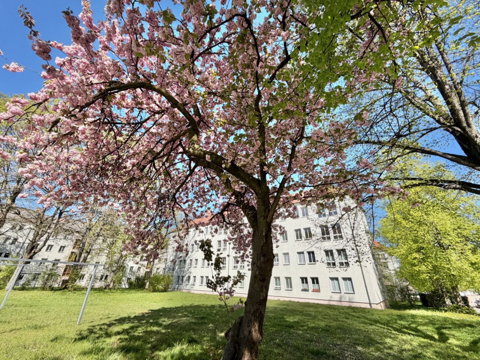 2 Zimmer • mit Einbauküche • in Chemnitz • Bernsdorf • Lutherviertel • schnell sein und mieten!
