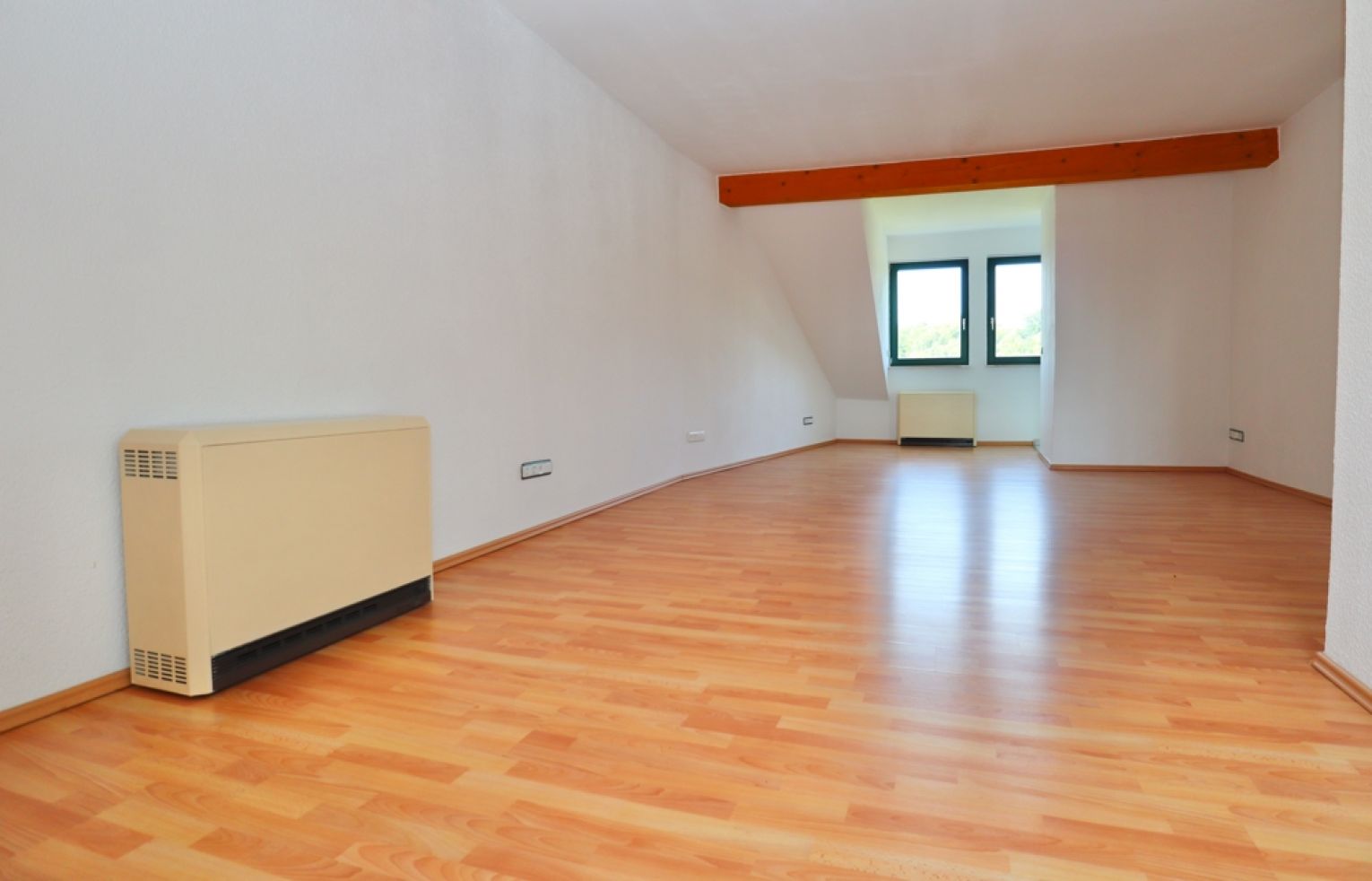 Dachgeschoss • 2-Zimmer • in Schloßchemnitz • zur Miete • eigener Garten • gleich anschauen