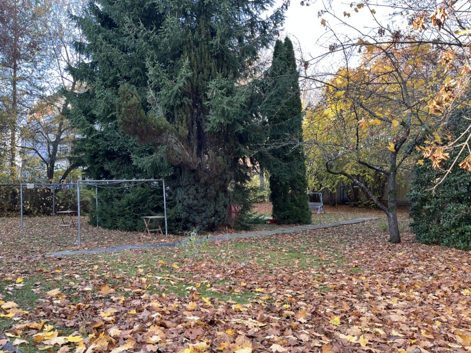 3-Raum Wohnung • Kaßberg • offene Küche • großer Balkon • Stellplatz • in Chemnitz • schnell sein