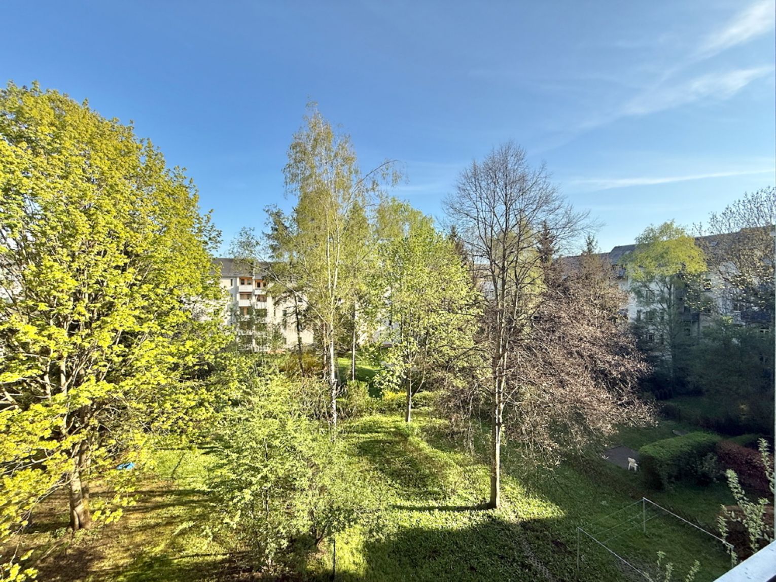 auf dem Kaßberg • in Chemnitz • 2 Zimmer • mit Balkon • Einbauküche • zur Miete • jetzt anschauen!