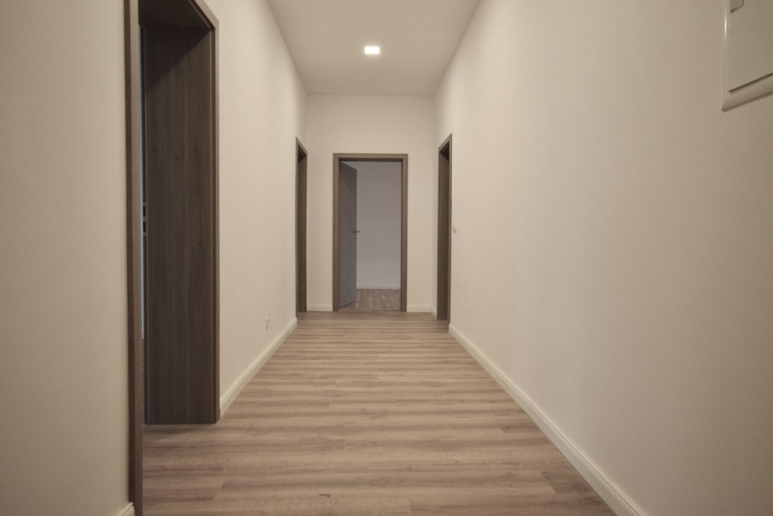 TOP! • Balkon • 2 Zimmer • helle Wohnküche • modernes Tageslichtbad mit Wanne • Zentrumsnah • Mieten - Foto 4