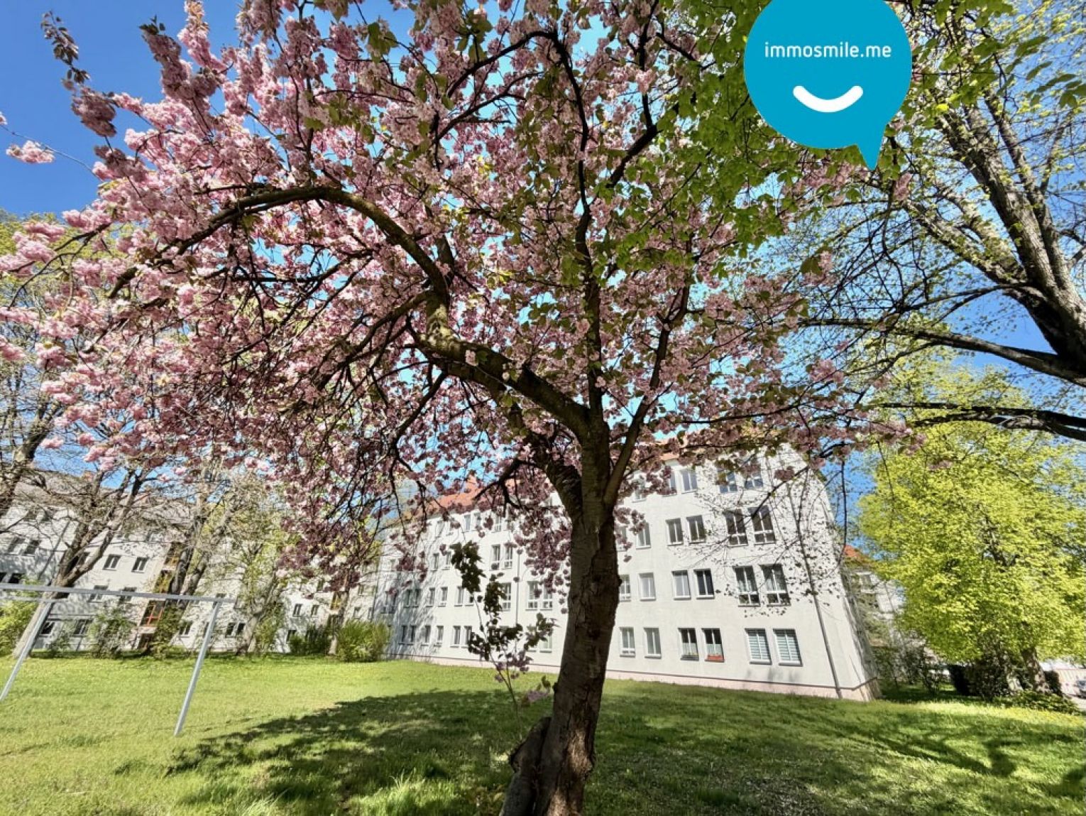 in Chemnitz • 2 Zimmer • zur Miete • mit Einbauküche • im Lutherviertel • jetzt besichtigen!