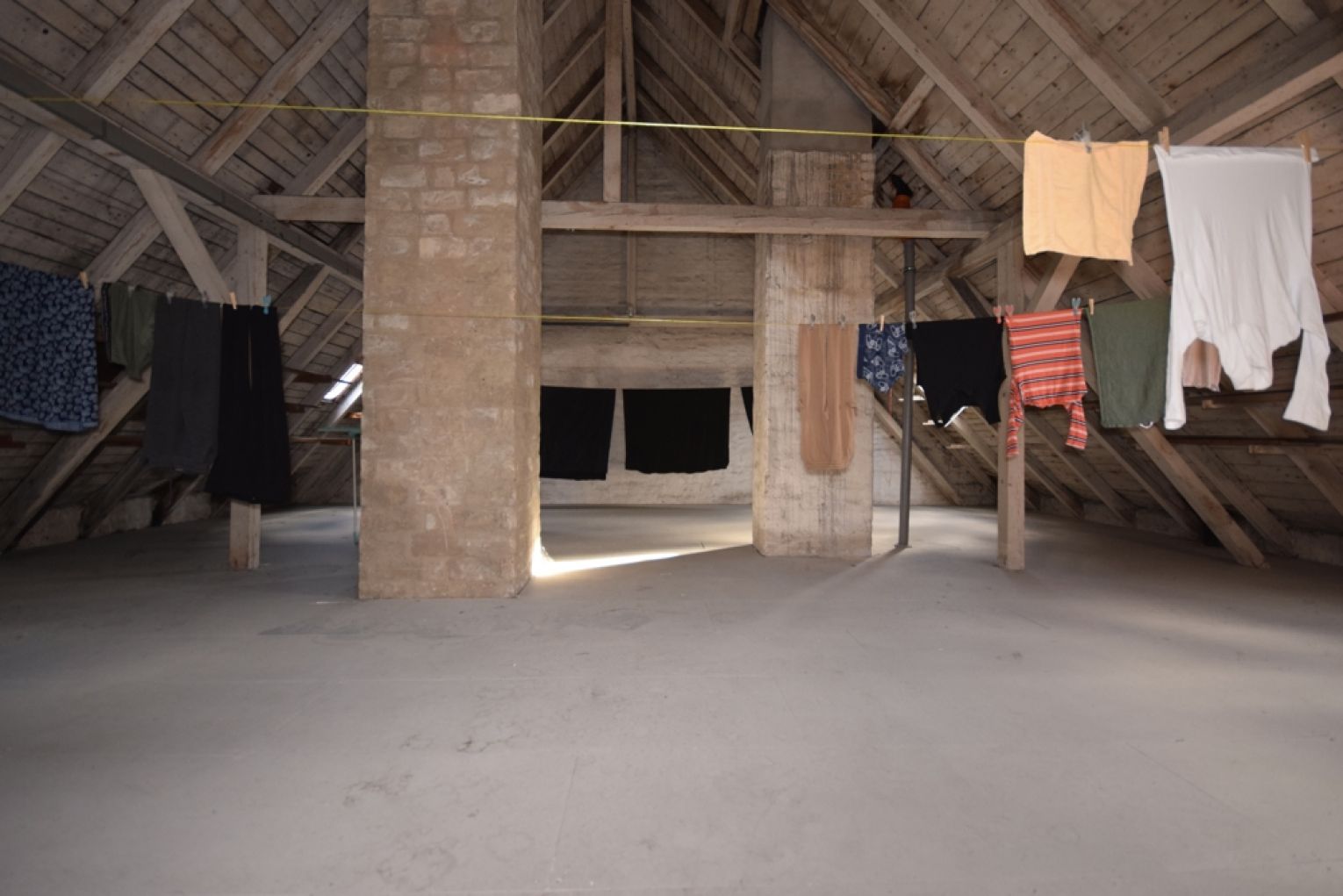 1-Raum Apartment • Laminat • Tageslichtbad mit Dusche • Stellplatz • Kaßberg • Anschauen & Mieten