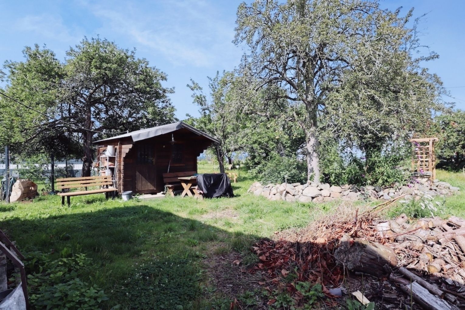 Grundstück erwerben • Baureifes Land • in Colditz • jetzt besichtigen
