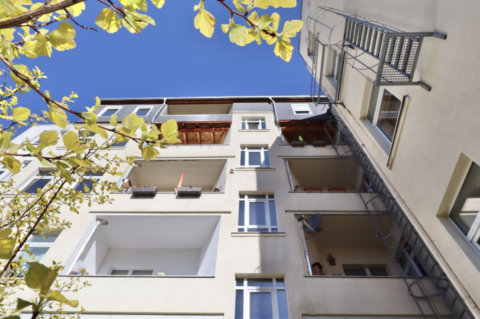 Einbauküche • Bernsdorf • Chemnitz • Balkon • Erdgeschoss • 3- Raum Wohnung • zur Miete
