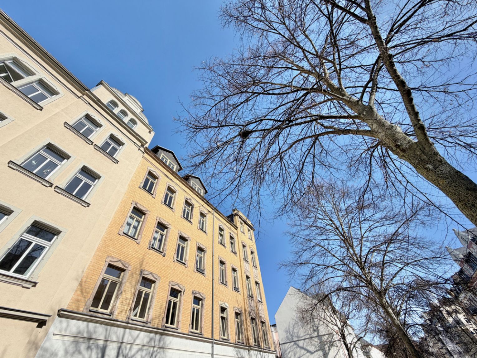 3 Zimmer • auf dem Kaßberg •. in Chemnitz • zur Miete • mit Balkon • schnell sein und mieten!