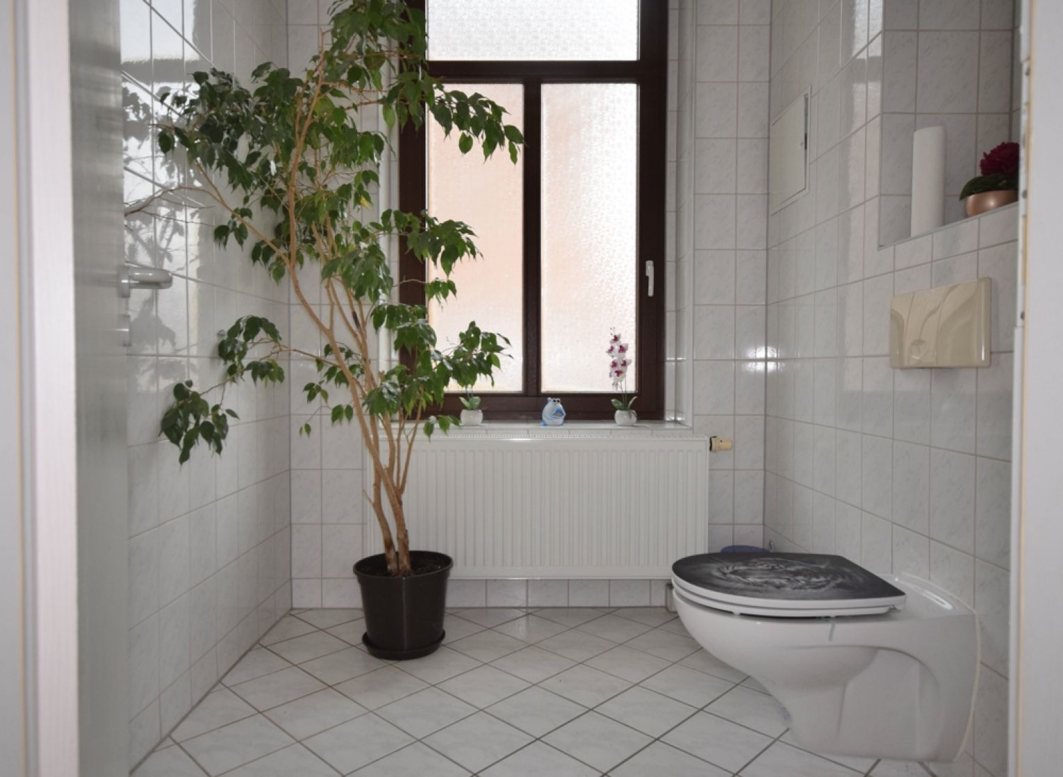 1 Zimmer • Teeküche • 2 Abstellräume • WC-Anlage • Kaßberg • mal anschauen?