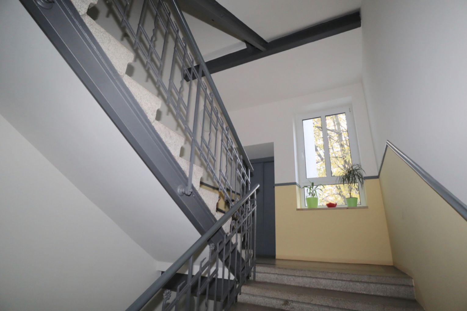 Kaßberg • mit XXL-Balkon • 3 Zimmer • im Erdgeschoss • gleich anschauen!