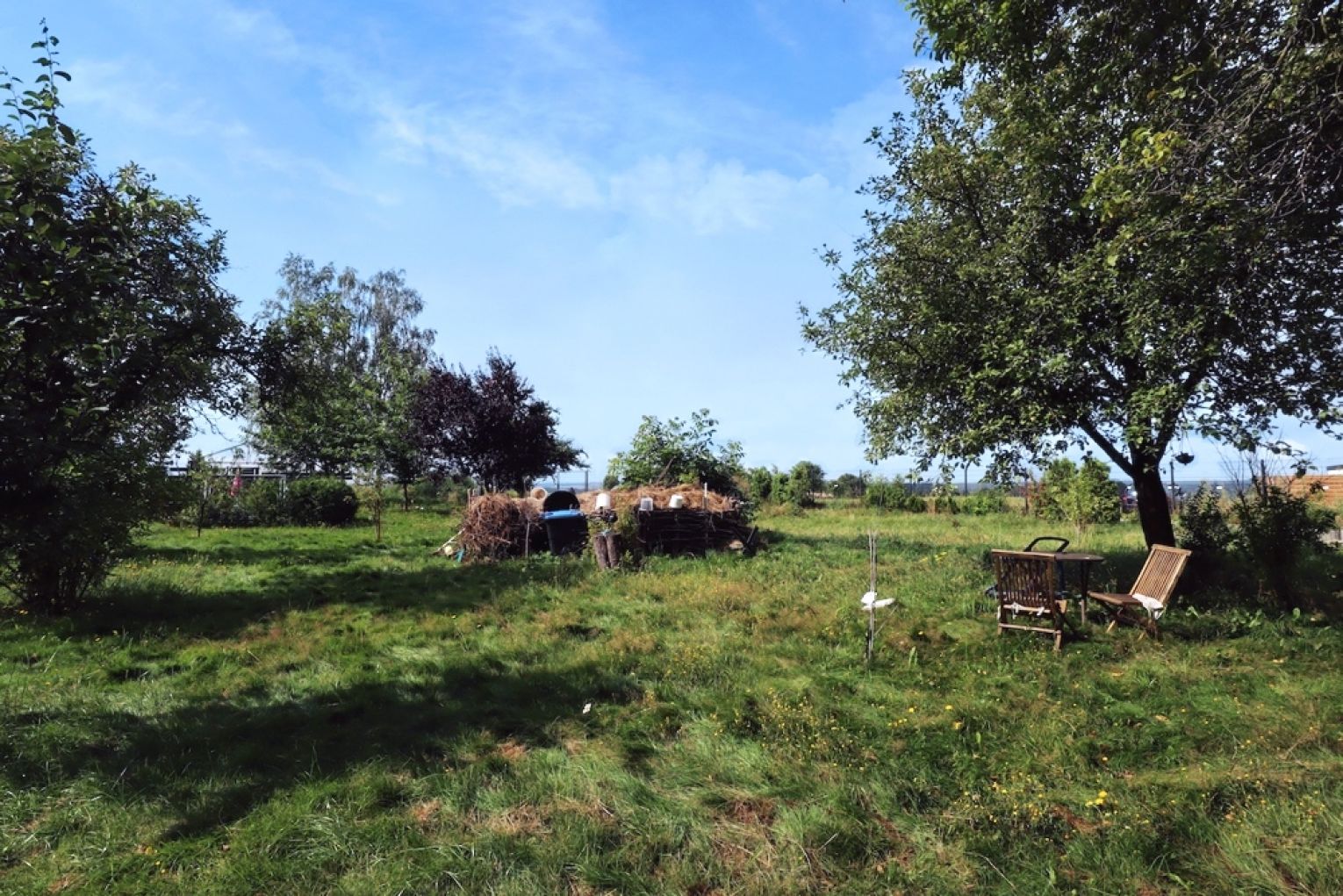 Grundstück erwerben • Baureifes Land • in Colditz • jetzt besichtigen