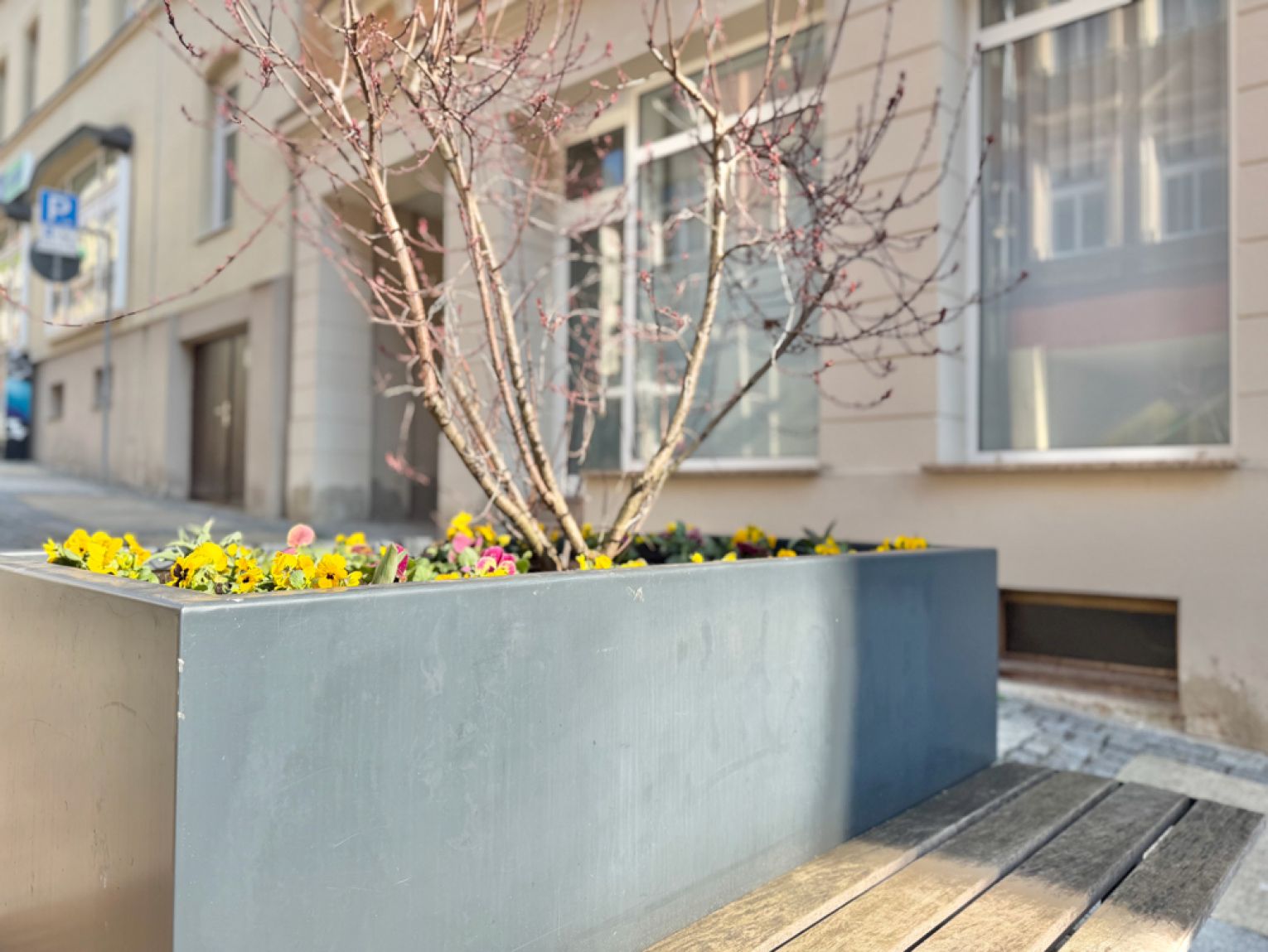 Wohnen • und Gewerbe • Hohenstein-Ernstthal • selbst nutzen • und / oder vermieten • jetzt kaufen!