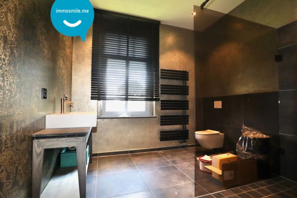 1 Zimmer • Luxus • möbliert • am Wasserschloss • mit Balkon • direkt mieten und einziehen 