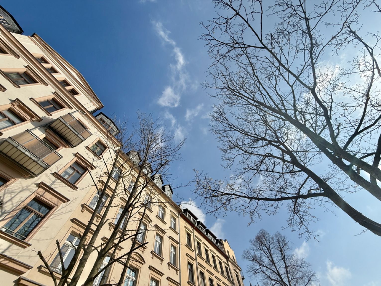 2 Zimmer • mit Einbauküche • zur Miete • im Schloßviertel • mit Balkon • schnell sein! • und mieten!