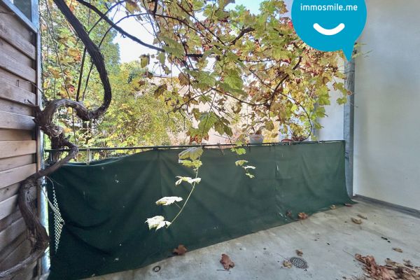 Altendorf • 2 oder 3-Raum Wohnung • in Chemnitz • Balkon • zur Miete • jetzt besichtigen