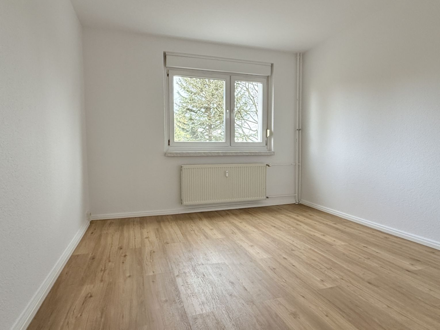 TOP • 2-Zimmer Wohnung • in Kappel • Balkon • modernes neues Laminat • mit Wanne • jetzt mieten !?
