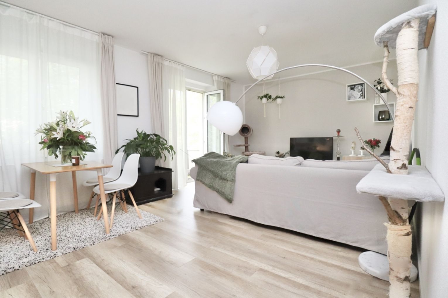 2-Zimmer • Balkon • vermietet • auf dem Kaßberg • in Chemnitz • Kapitalanlage • jetzt vorsorgen!