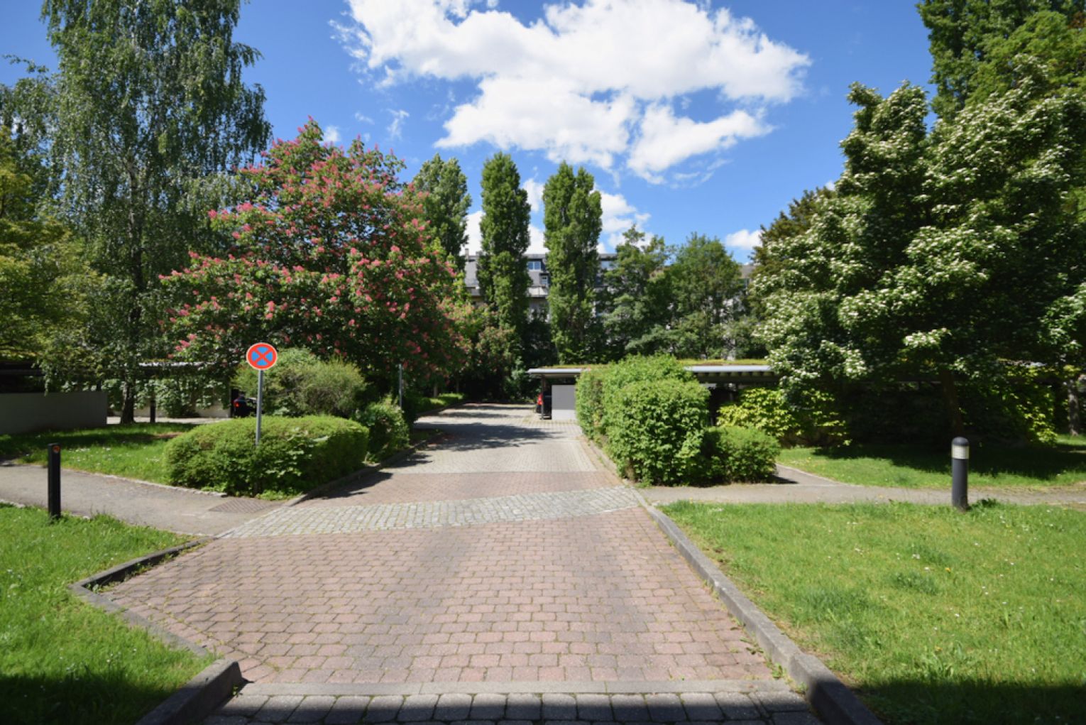 1-Raum Apartment • Laminat • Tageslichtbad mit Dusche • Stellplatz • Kaßberg • Anschauen & Mieten