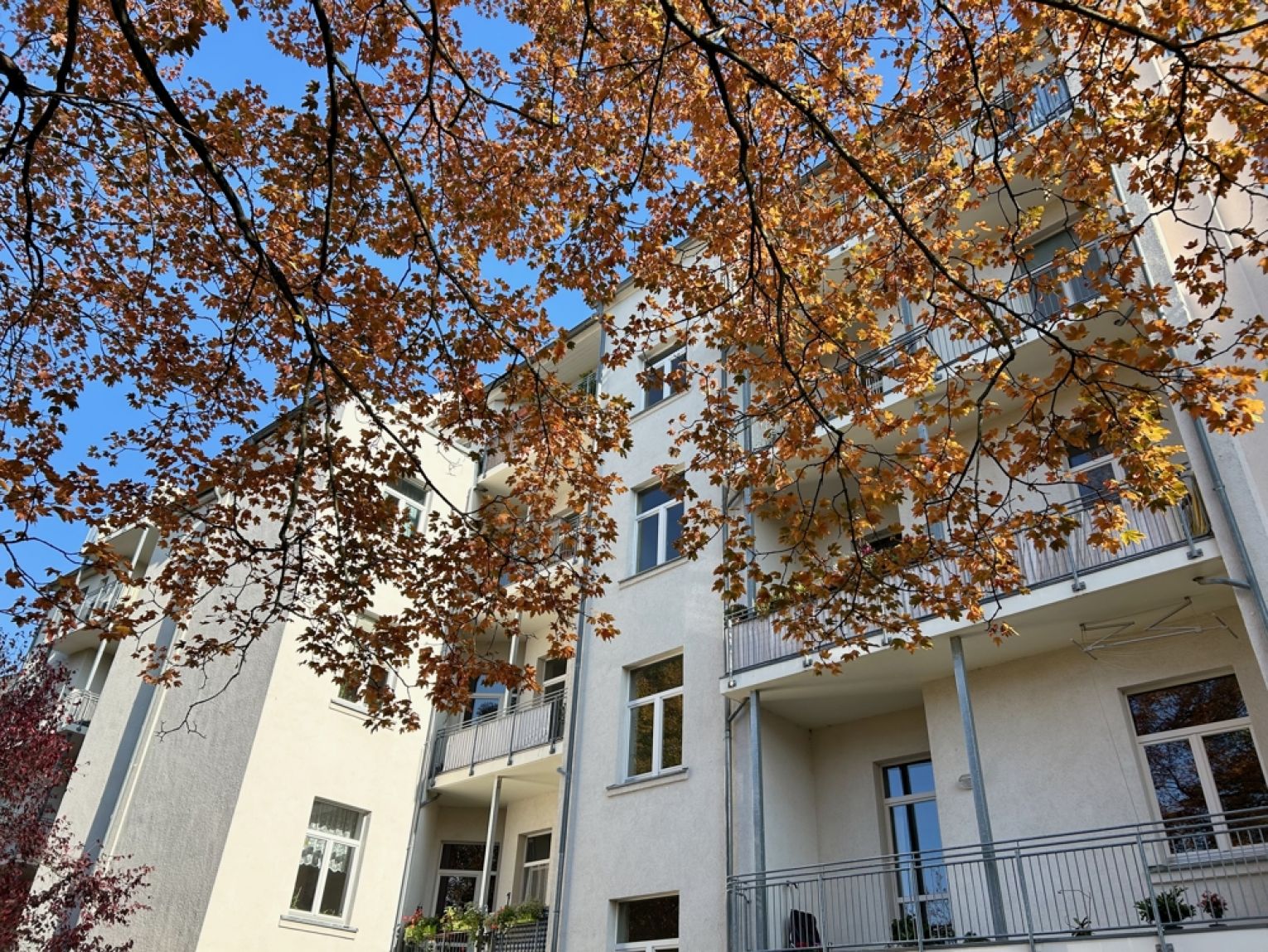 Kaßberg • Kapitalanlage • vermietet • 3-Raum • Eigentumswohnung • Aufzug • Kaufen •