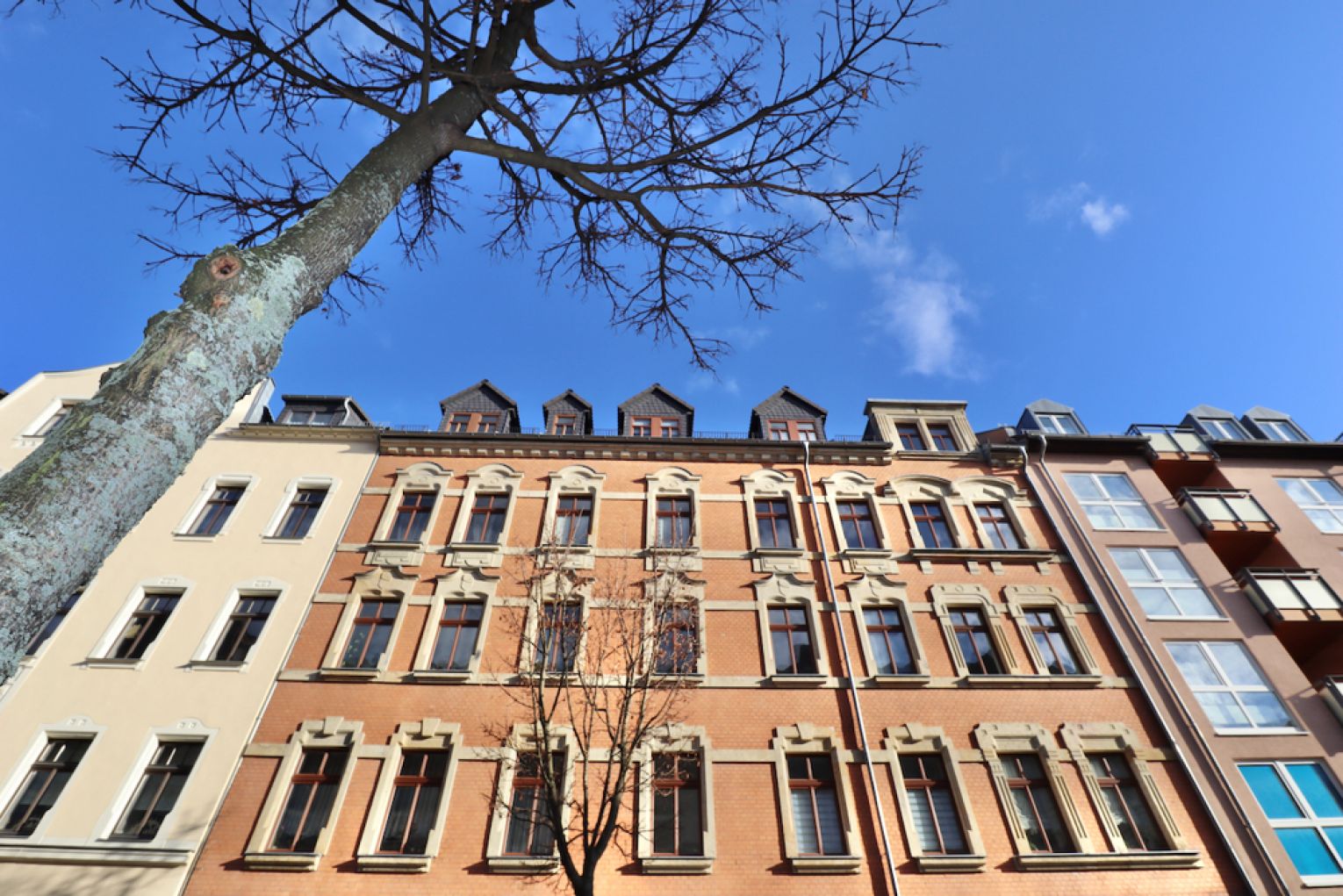 Schloßchemnitz • jetzt anschauen •  ruhige Lage • 1-Raum Wohnung • zur Miete • Apartment • mit Küche