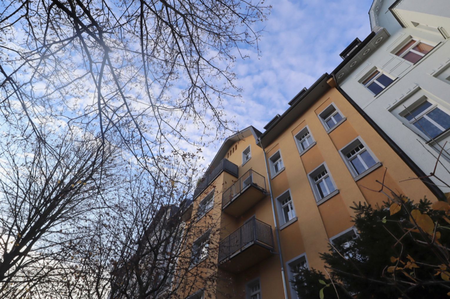Kaßberg • mit XXL-Balkon • 3 Zimmer • im Erdgeschoss • gleich anschauen!