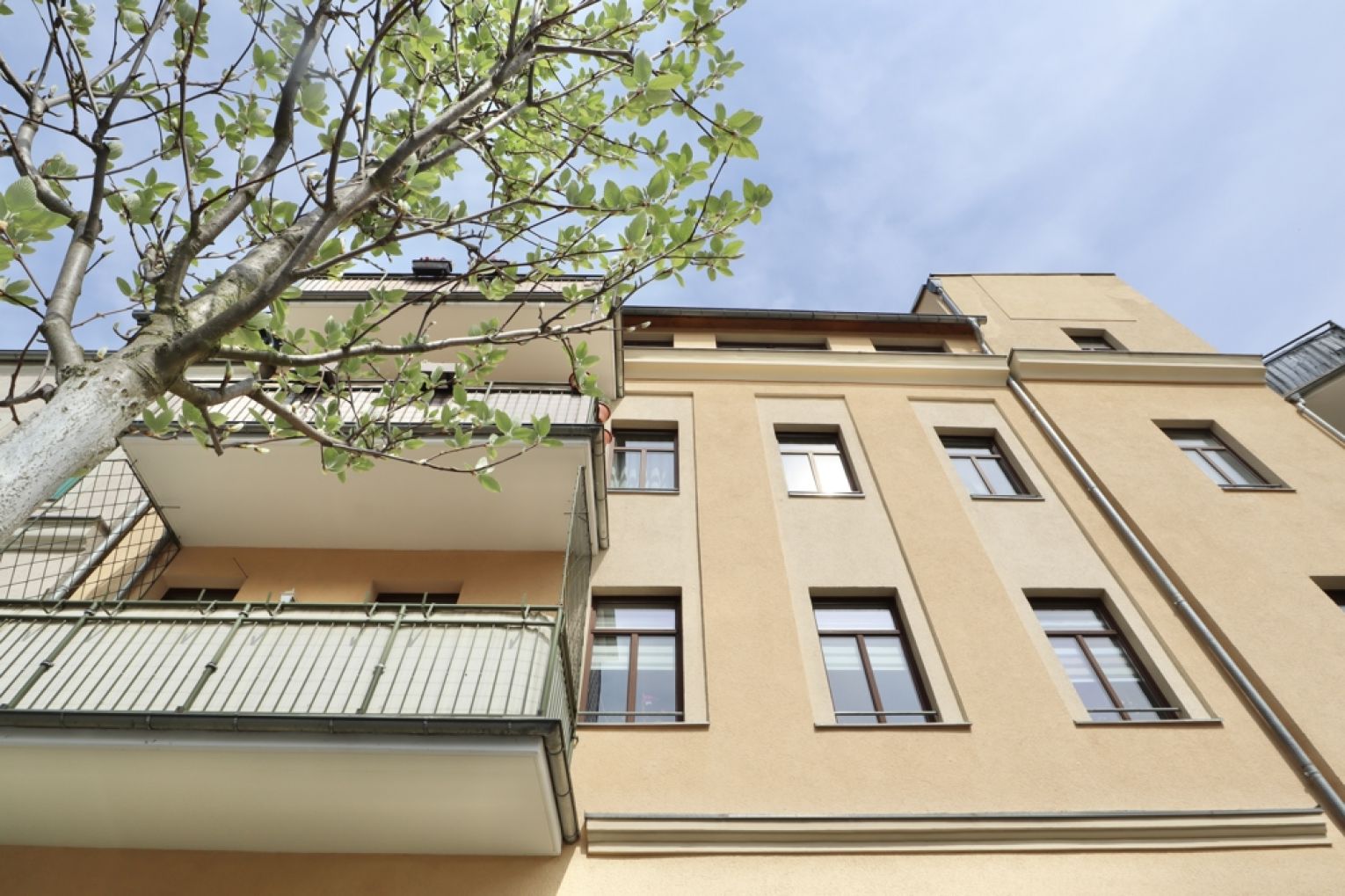 Altendorf • Chemnitz • 4- Zimmer • Stellplatz • Balkon • Einbauküche • Erdgeschoss • zum Kauf