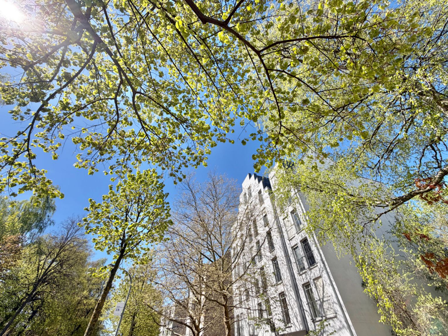 1 Zimmer • Uni nah • Wohnung • zur Miete • in Chemnitz • sei schnell und mieten!