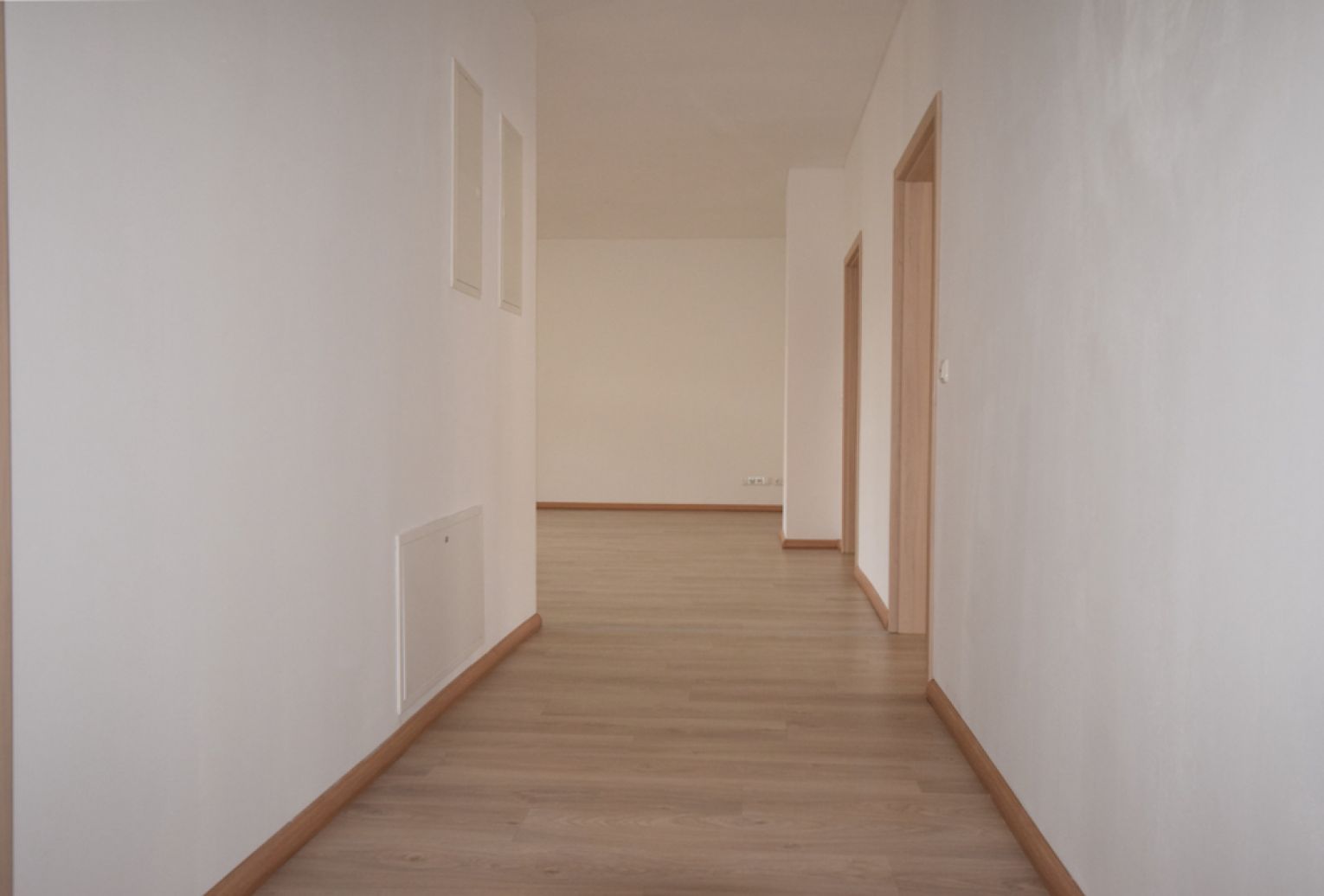 Sonnenbalkon • 4 Zimmer • Chemnitz • Fussbodenheizung • Laminat • Tageslichtbad • Wanne & Dusche