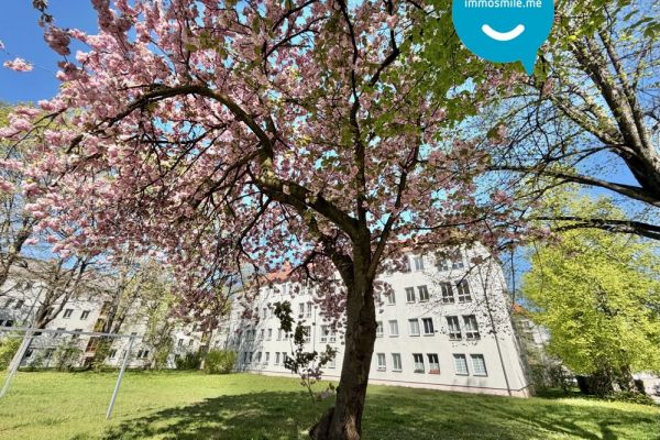 in Chemnitz • 2 Zimmer • zur Miete • mit Einbauküche • im Lutherviertel • jetzt besichtigen!