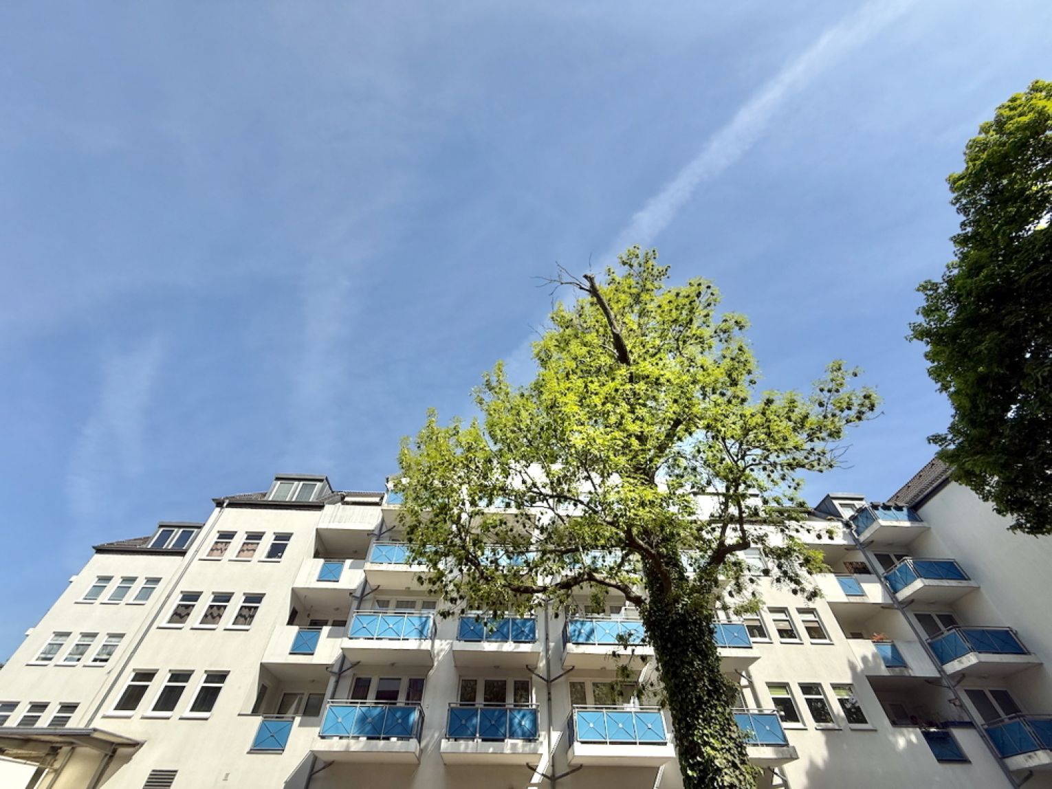2 Zimmer • in Schloßchemnitz • Neubau • mit Tiefgarage • Balkon • Aufzug • Eigentumswohnung • kaufen