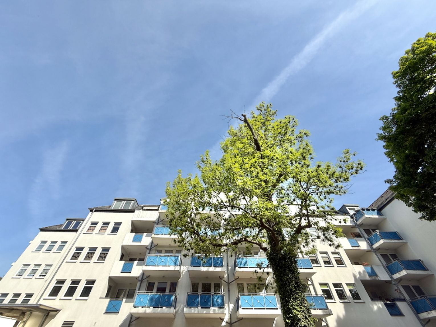 3 Zimmer • mit Balkon • Tiefgarage • vermietet • in Chemnitz • Eigentumswohnung • jetzt kaufen!