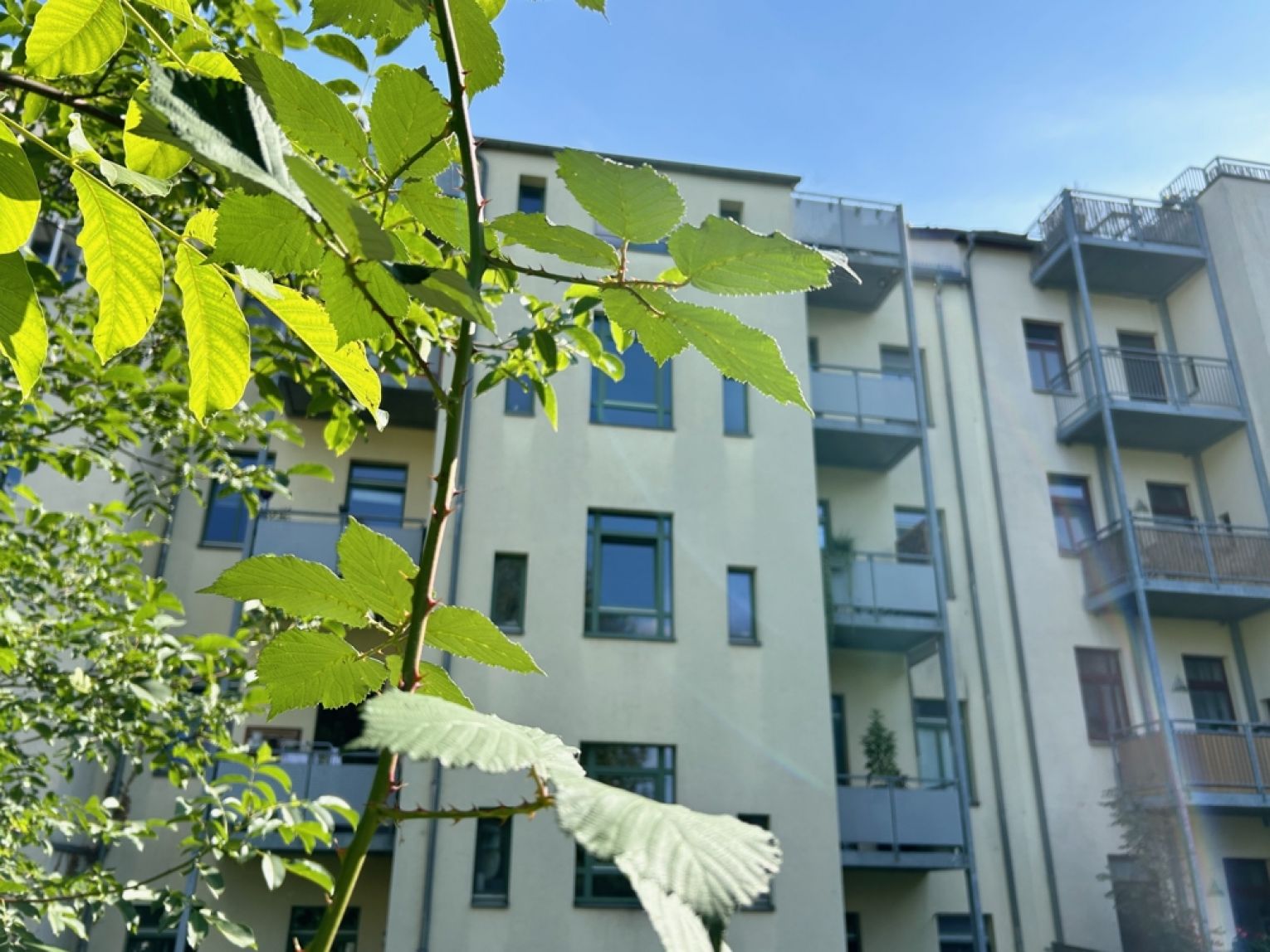 3 Zimmer • mit Balkon • Bad mit Wanne und Dusche • auf dem Schloßberg • zur Miete • in Chemnitz