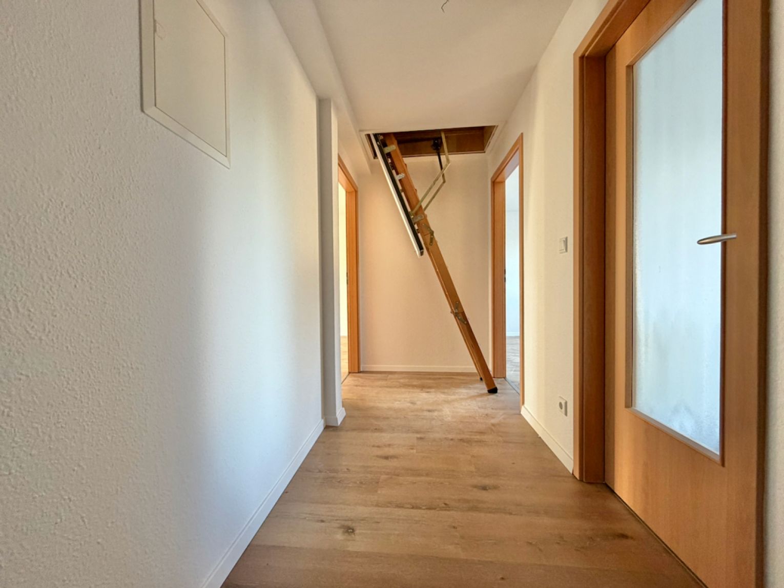 2 Zimmer • Balkon • Dachgeschoss • in Chemnitz • modern und neu • schnell sein und direkt mieten!