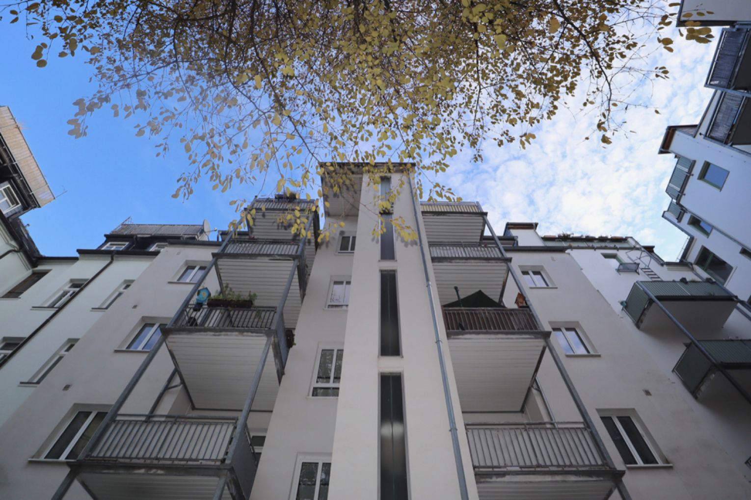 Kaßberg • mit XXL-Balkon • 3 Zimmer • im Erdgeschoss • gleich anschauen!
