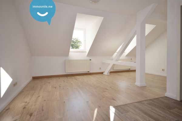 Dachgeschoss • Kaßberg • 1 Raum Apartment • Bad mit Dusche • neues Laminat • zur Miete