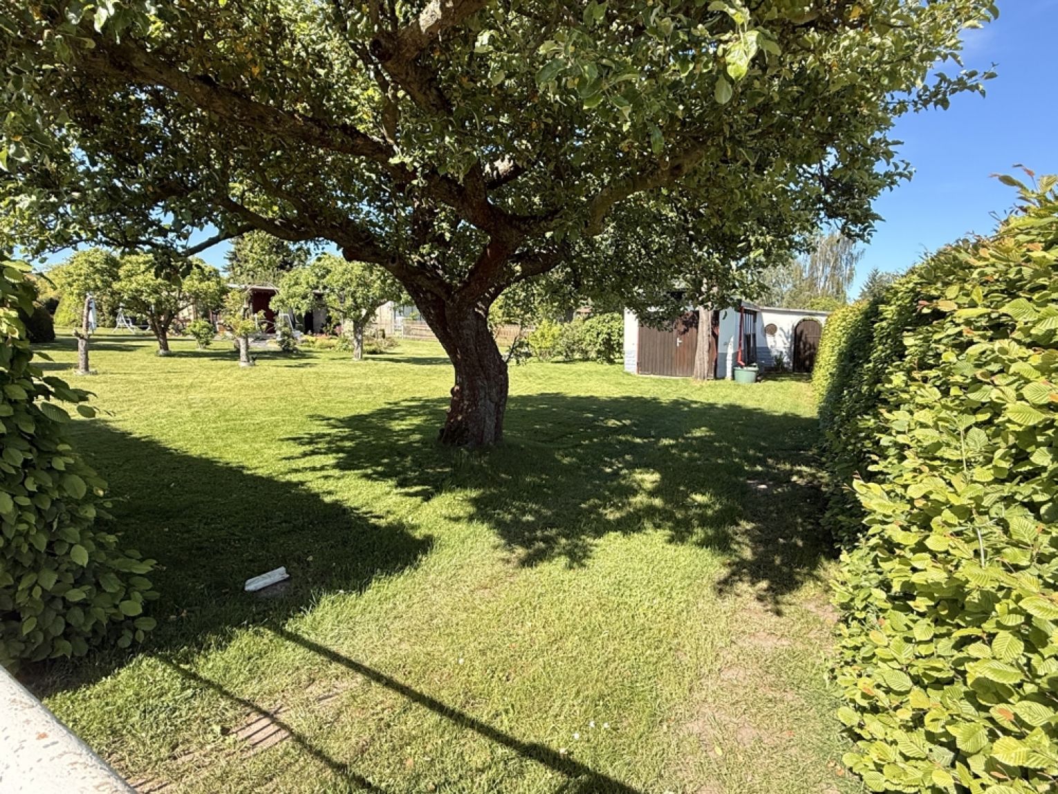 Grundstück teilbar • Baureifes Land • Garage • Wochenendbungalow • in Neukirchen • besichtigen?