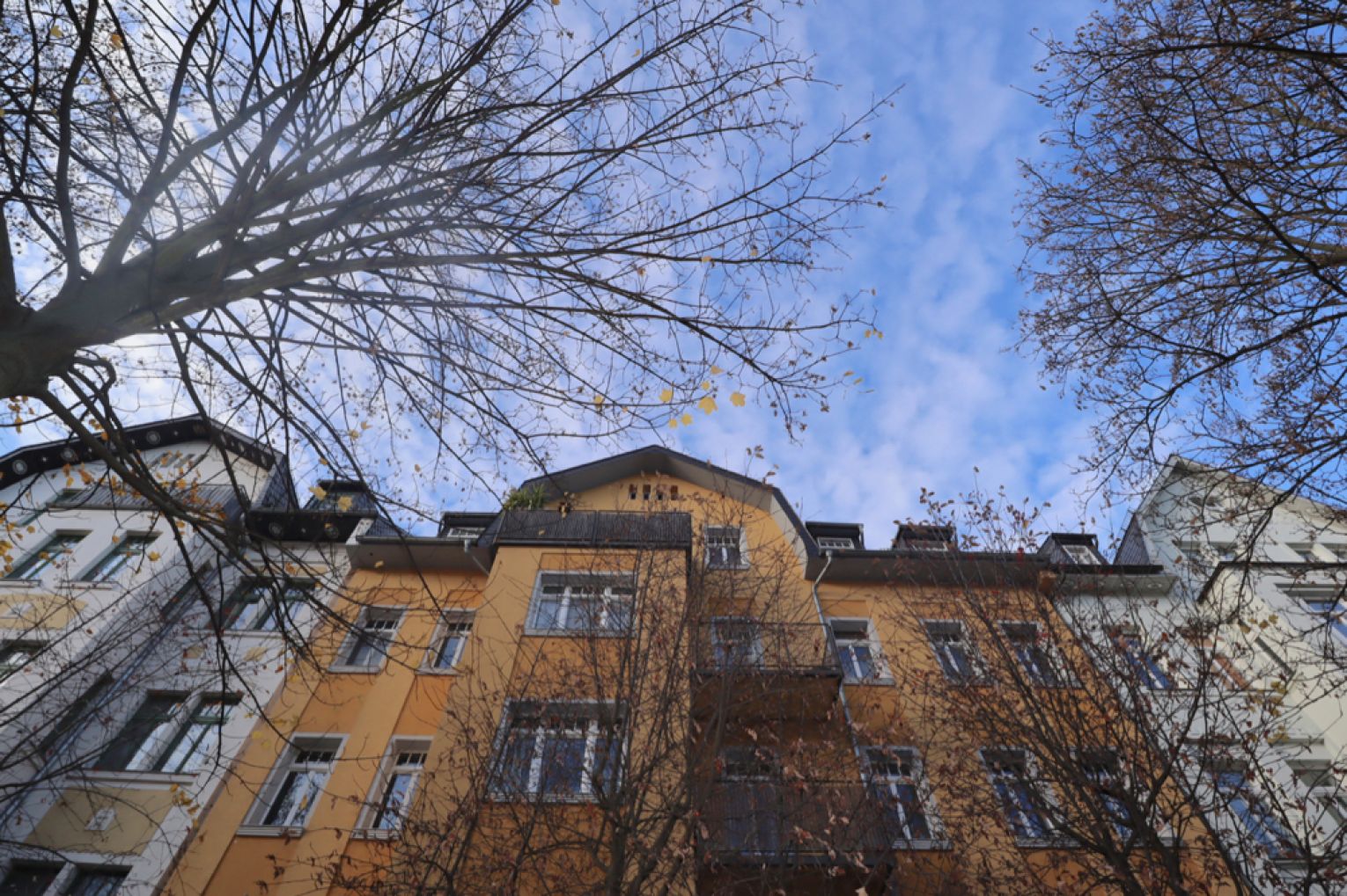 Kaßberg • mit XXL-Balkon • 3 Zimmer • im Erdgeschoss • gleich anschauen!
