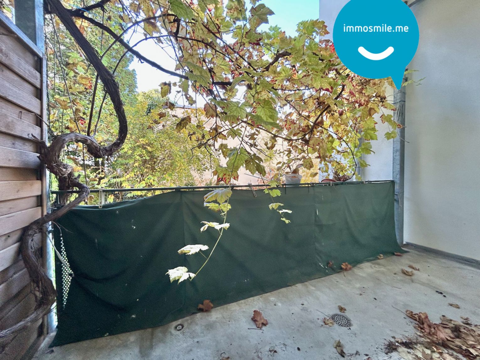 Altendorf • 2 oder 3-Raum Wohnung • in Chemnitz • Balkon • zur Miete • jetzt besichtigen