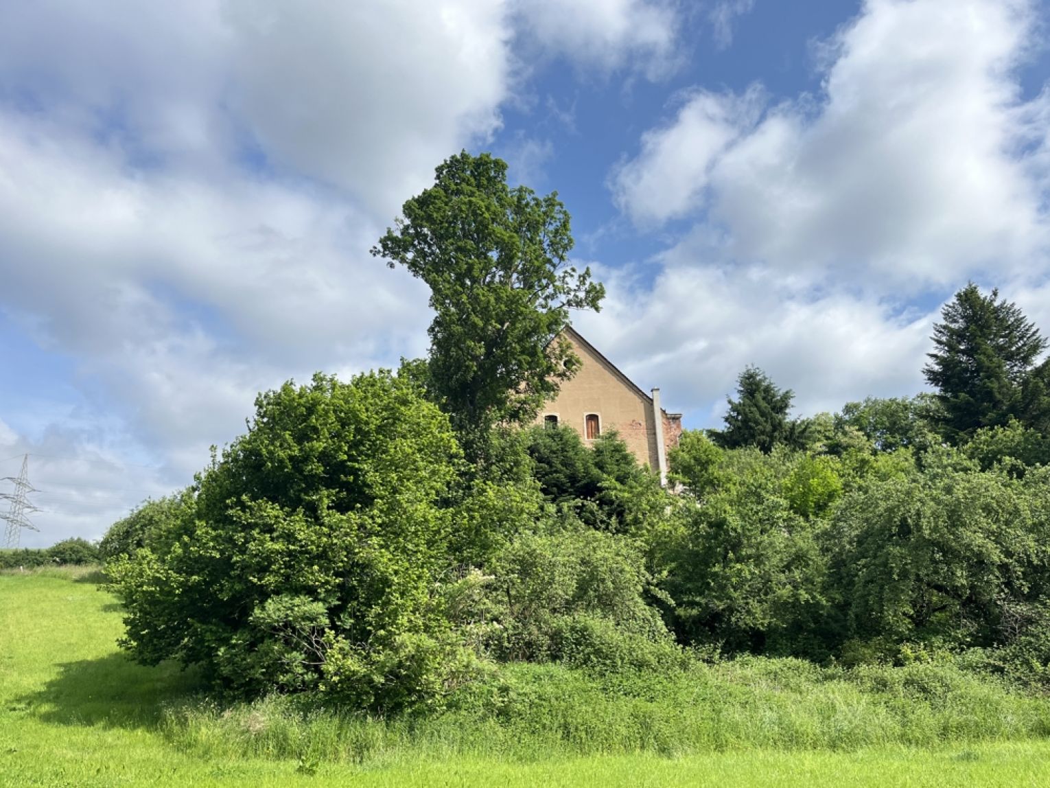 Einfamilienhaus • Oederan • Stallung & Scheune • großer Garten • Keller