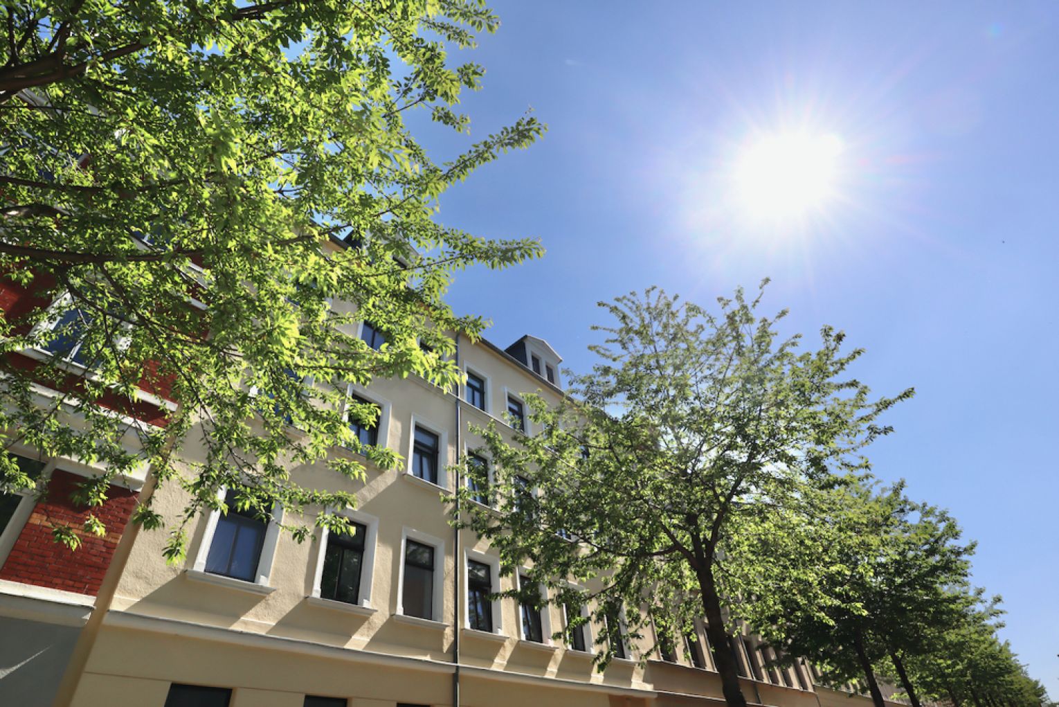 1-2 Zimmer • mit Küche • modernes Wohnen • Nähe zum Brühl • im Zentrum • zur Miete