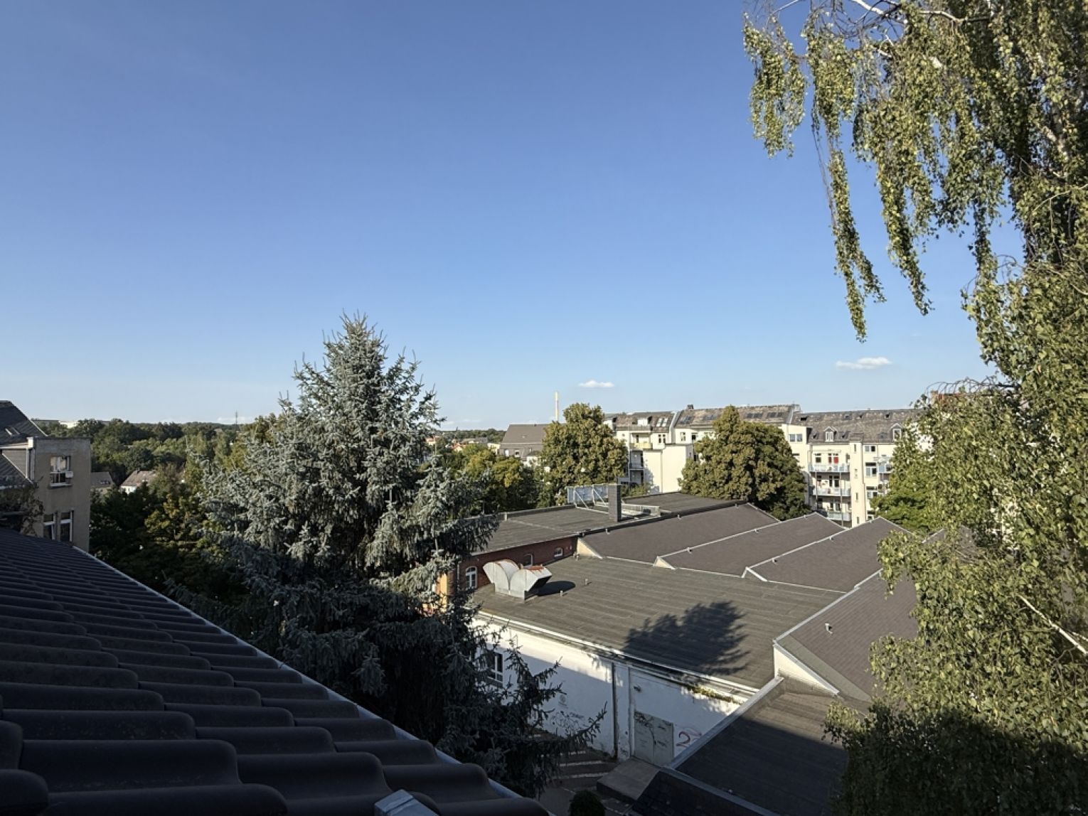 3 Zimmer • Kassberg • Balkon • schickes Laminat • Bad mit Wanne • Dachgeschoss • mal Anschauen !?