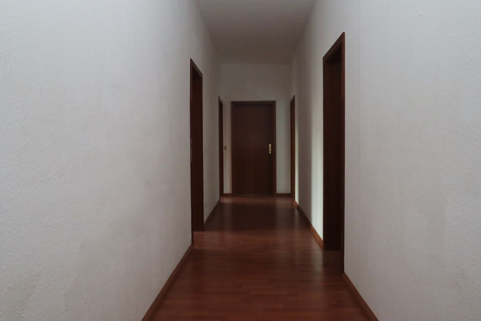 3-Raum Wohnung  • Einbauküche • auf dem Sonnenberg • in Chemnitz • Tageslichtbad • schnell sein