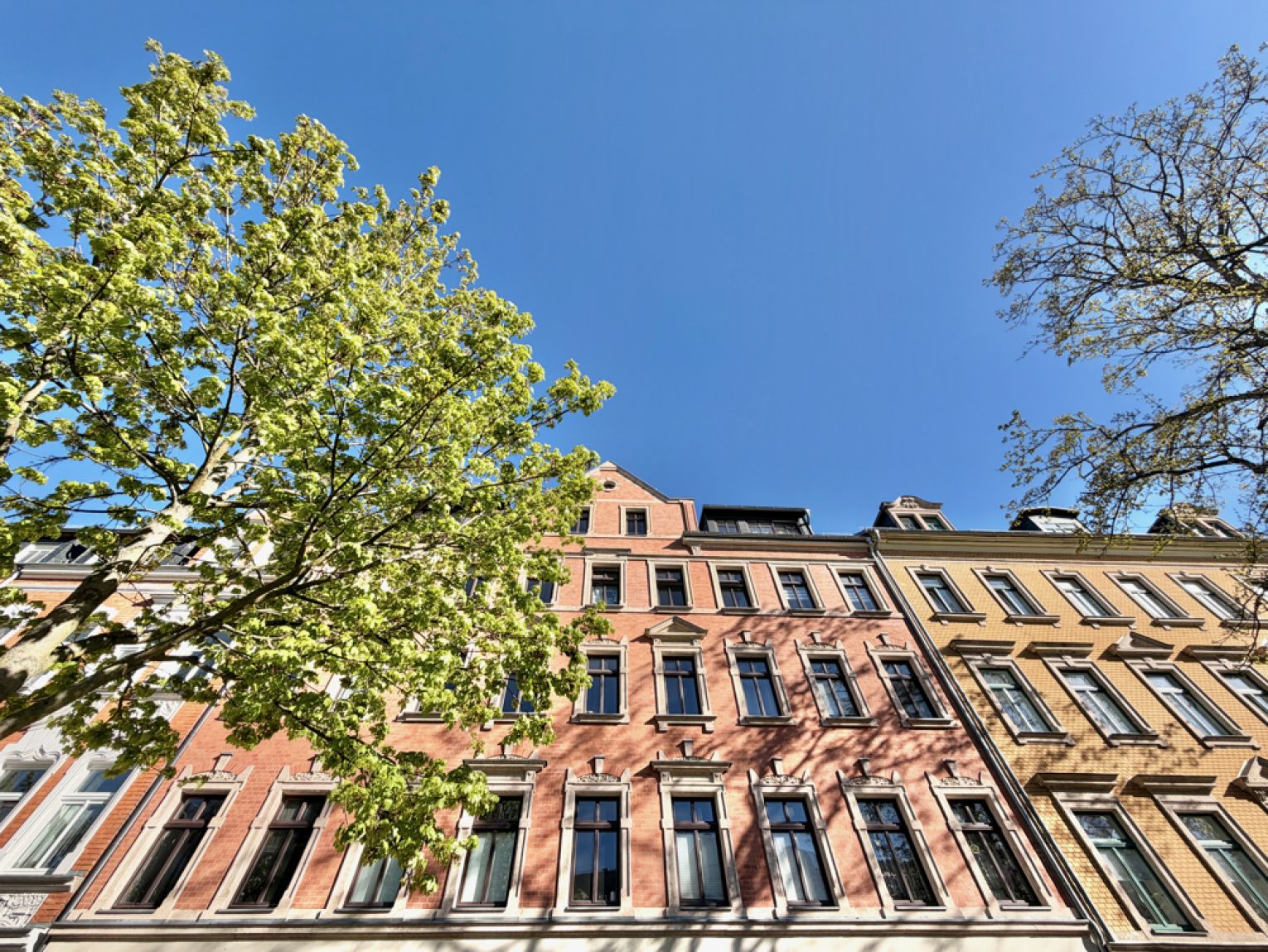 Eigentumswohnung • drei Wohnungen in einem Haus • mit Balkon • vermietet • Kapitalanlage • Chemnitz