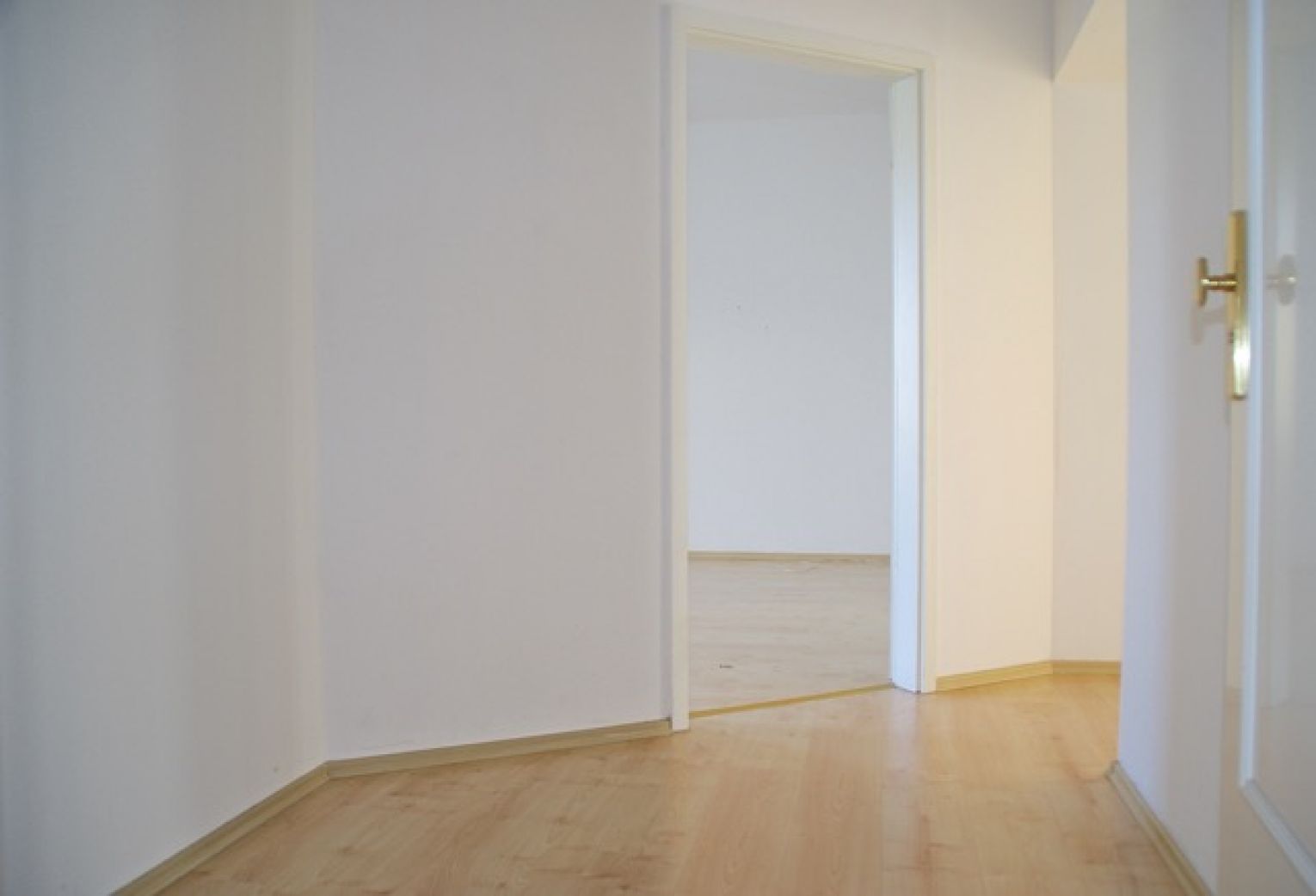 3-Zimmer • Balkon und Einbauküche • Bad mit Wanne • Schloßchemnitz • am Küchwald • ruhige Lage • TOP