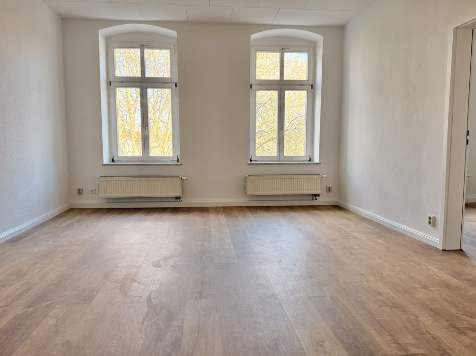 3-Zimmer • Kaßberg • Sonnenbalkon • Park vor der Haustür • tolles Laminat • Neues Bad mit Wanne