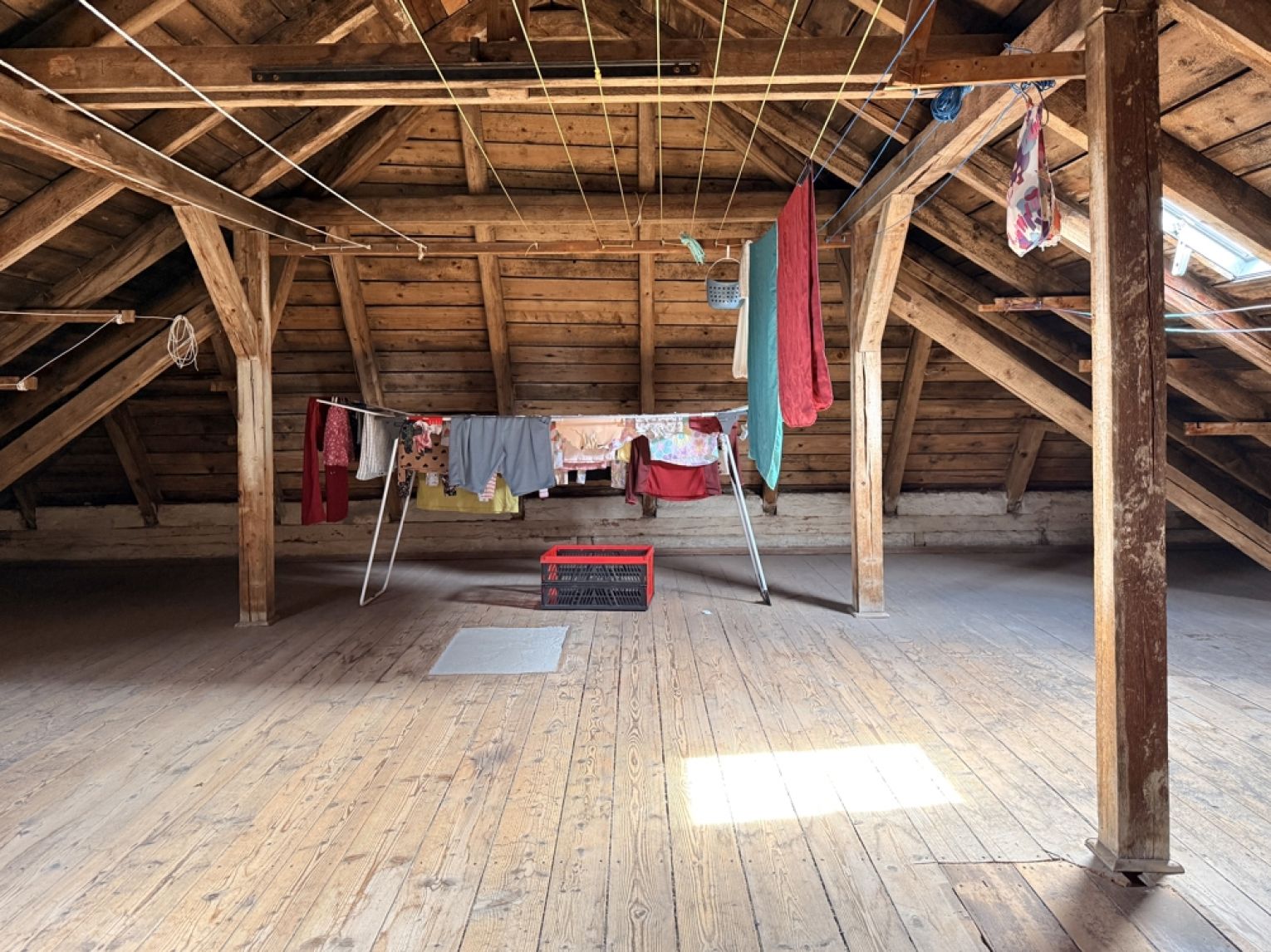 Tageslichtbad mit Wanne • 2 Zimmer • am Heimgarten • Balkon • Top-Preis! • Neues Laminat